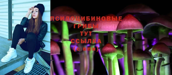 spice Карпинск