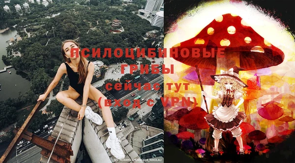 скорость Каменногорск