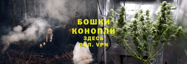 скорость Каменногорск